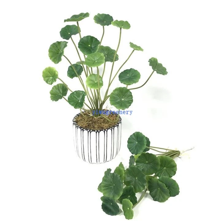 artificial Penny grass drip leaves