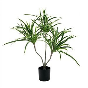 Umjetno drvo Dracaena