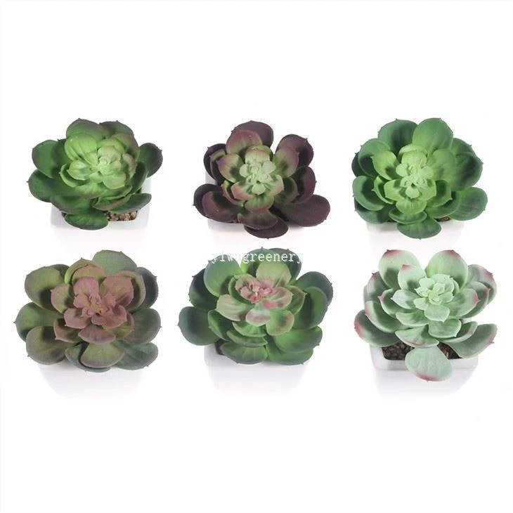small faux succulents