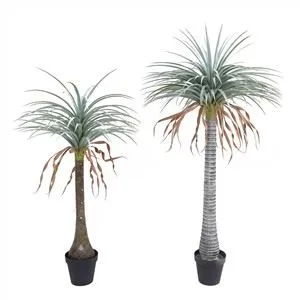 Umjetno yucca drvo u loncu